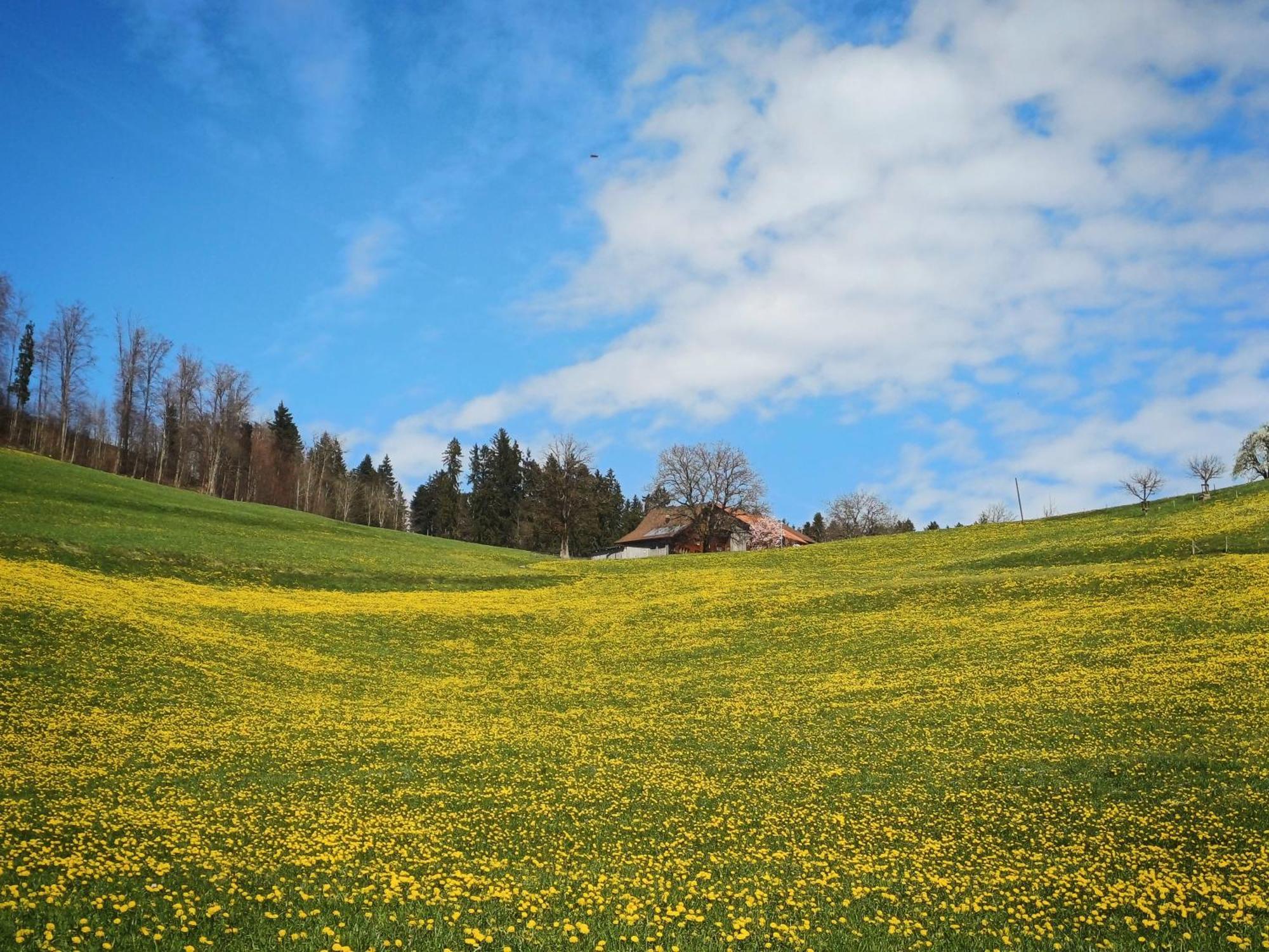 Lilalila Lodge Flawil Exteriér fotografie